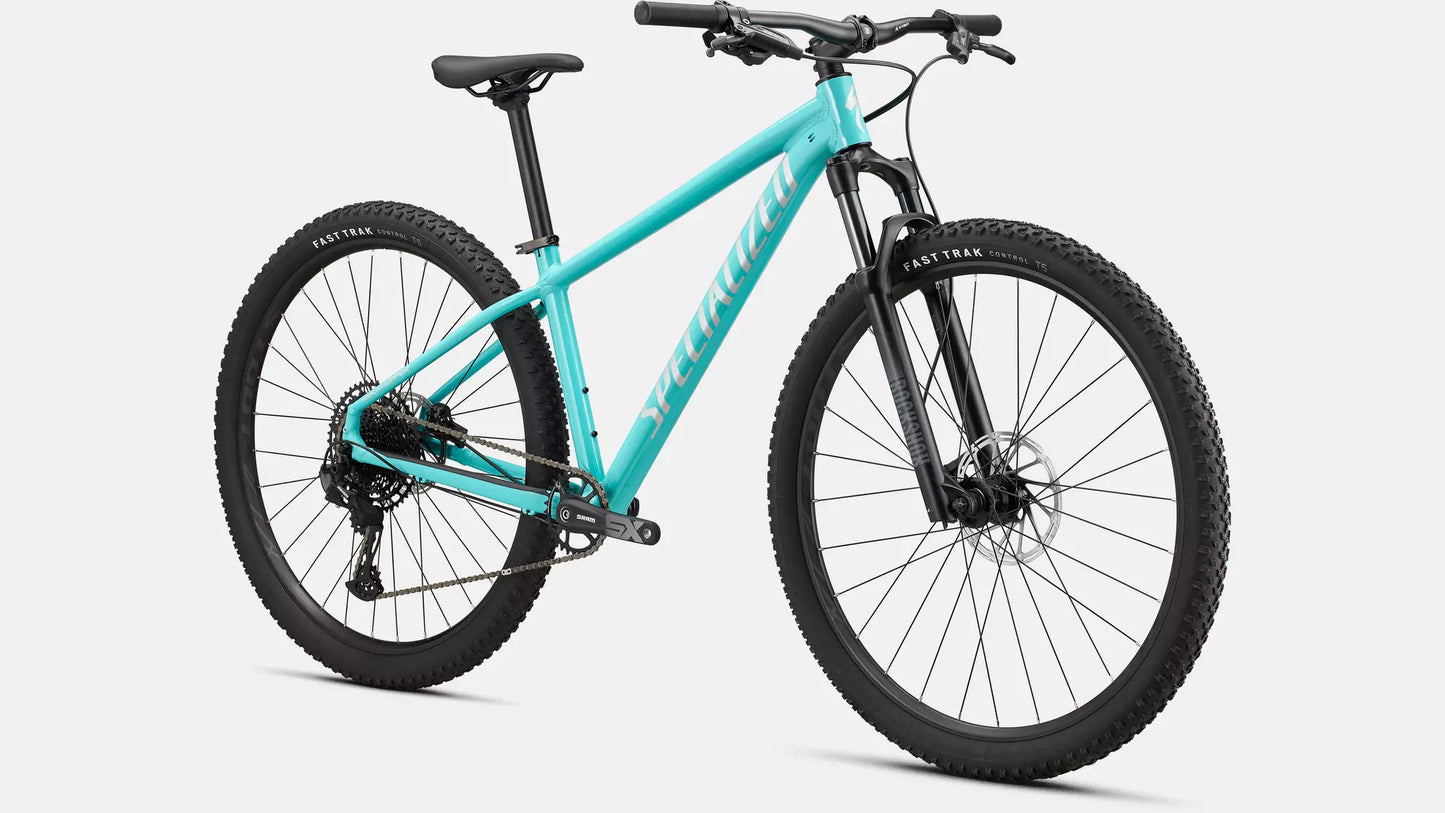 Rockhopper Expert 29 Blue